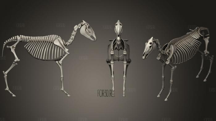 Donkey Skeleton stl model for CNC